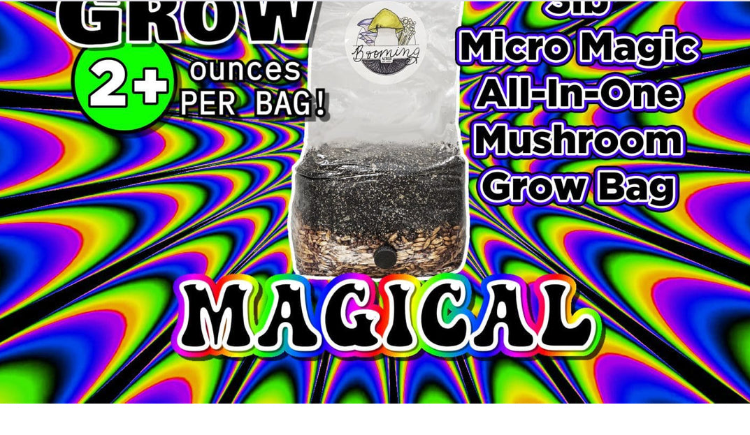 Mushroom All in One Grow Bags