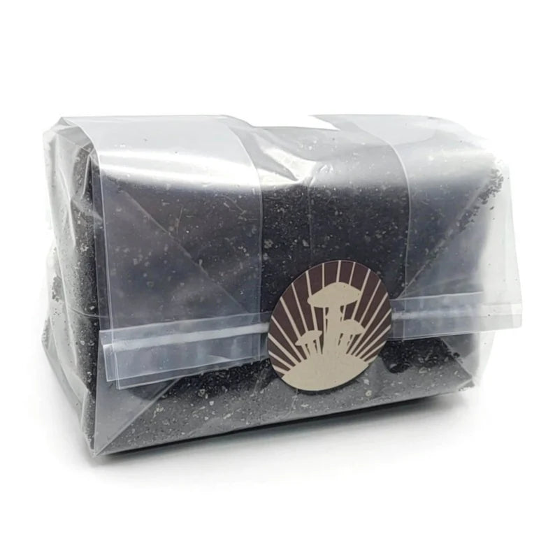 Mushroom Growing Supply Kit Includes Agar, CVG, Rye Bag, Liquid Culture, All-In-One Grow Bag, and Syringes