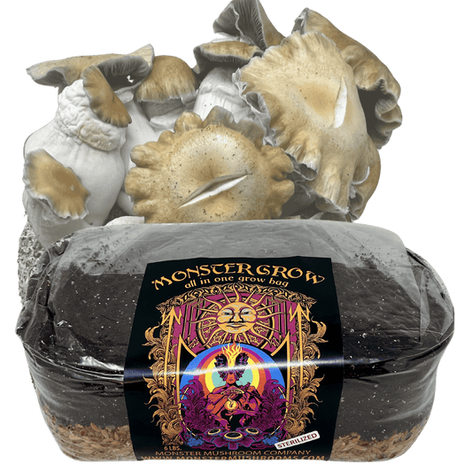 All-in-One Mushroom Grow Bag 6lb