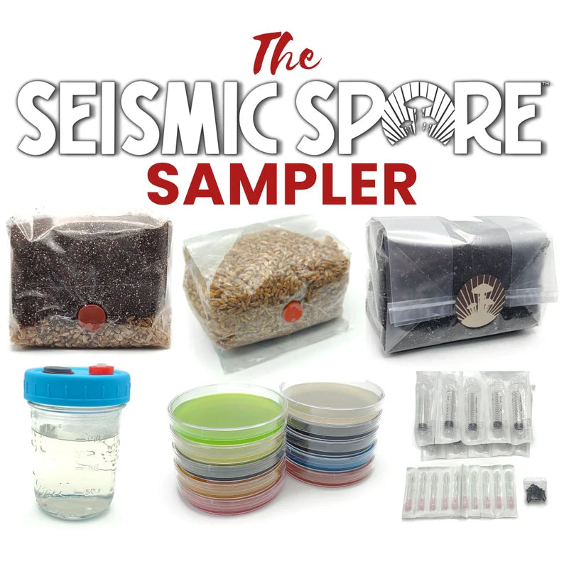 Mushroom Growing Supply Kit Includes Agar, CVG, Rye Bag, Liquid Culture, All-In-One Grow Bag, and Syringes