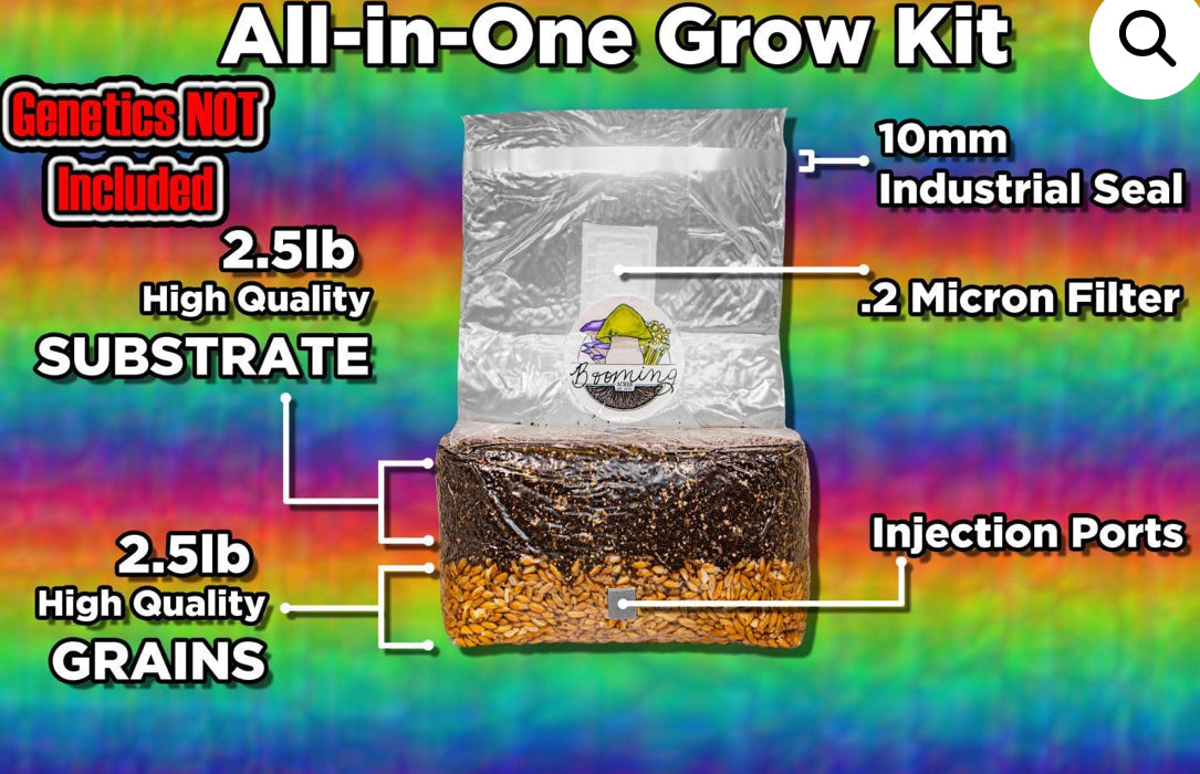 FIVE MICRO MAGICAL 3LB ALL-IN-ONE MUSHROOM GROW BAG THE SMALL-IN-ONE DISCOUNTED LISTING