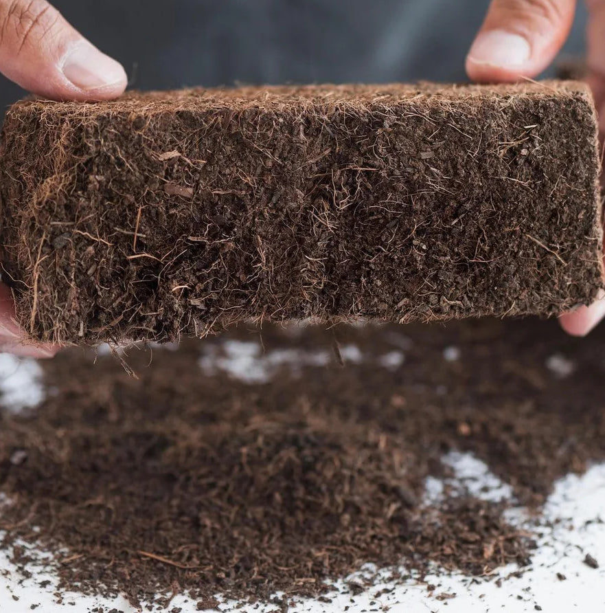 'Myco Coco' Compressed Coco Coir Substrate & Casing Layer