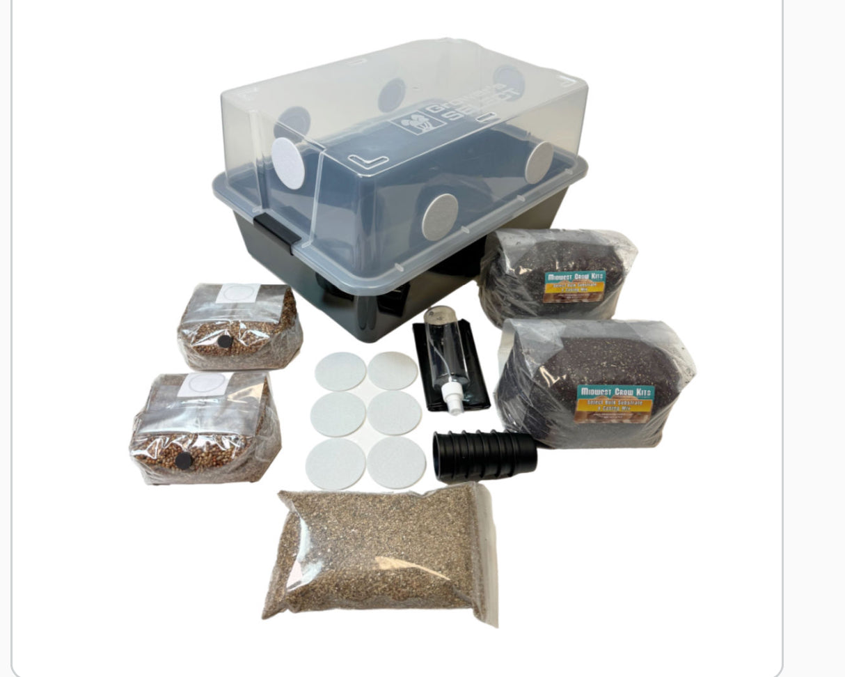 Complete Large 66Q Monotub Bulk Spawn Growing & Casing Kit