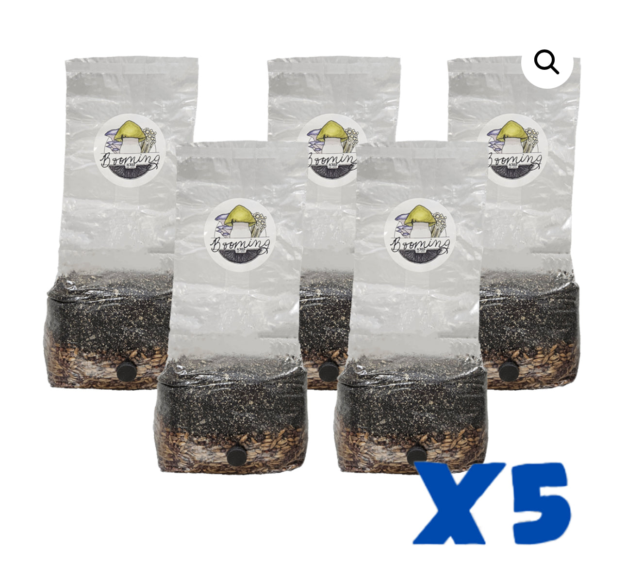 FIVE MICRO MAGICAL 3LB ALL-IN-ONE MUSHROOM GROW BAG THE SMALL-IN-ONE DISCOUNTED LISTING