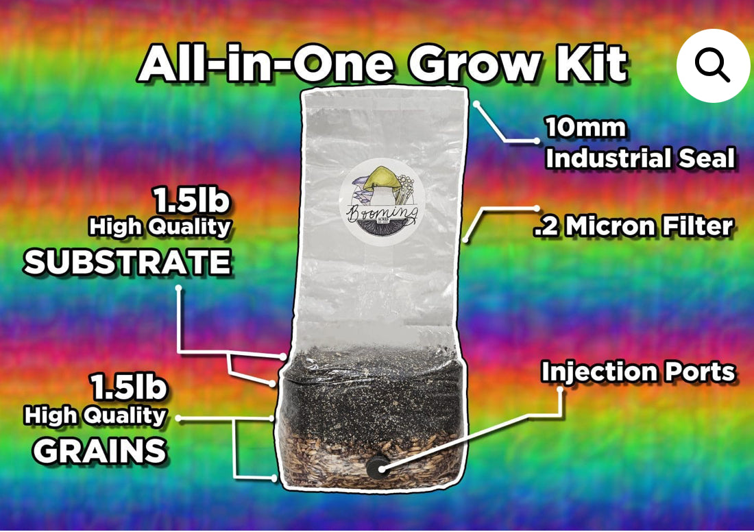 FIVE MICRO MAGICAL 3LB ALL-IN-ONE MUSHROOM GROW BAG THE SMALL-IN-ONE DISCOUNTED LISTING