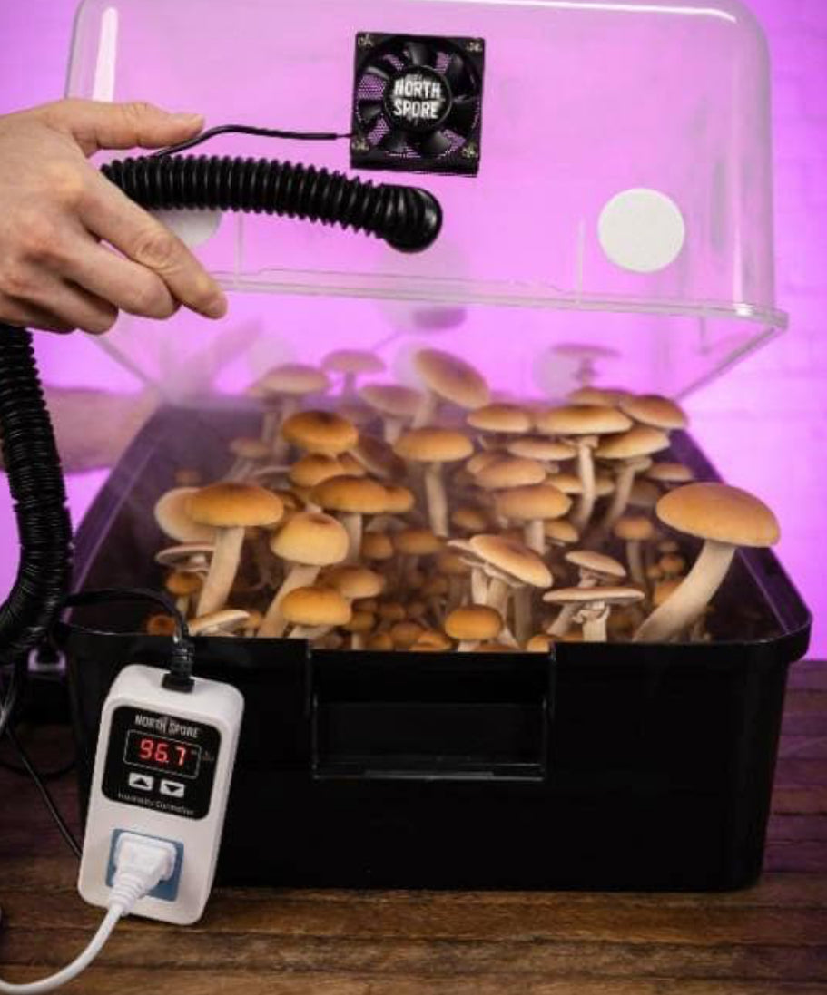 Automated 'Boomr Bin' + Wood-Loving Substrates Monotub Kit