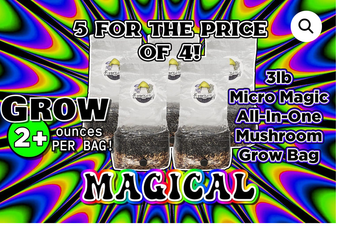 FIVE MICRO MAGICAL 3LB ALL-IN-ONE MUSHROOM GROW BAG THE SMALL-IN-ONE DISCOUNTED LISTING