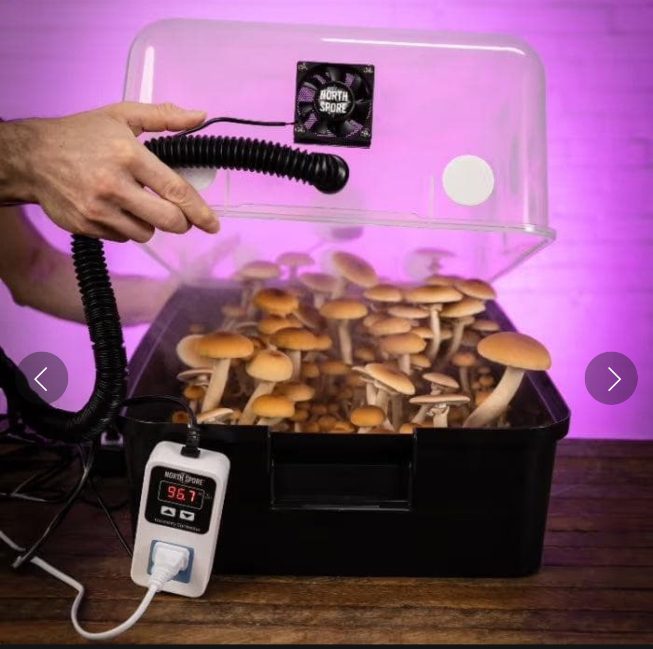 Automated 'Boomr Bin' Mushroom Monotub Kit