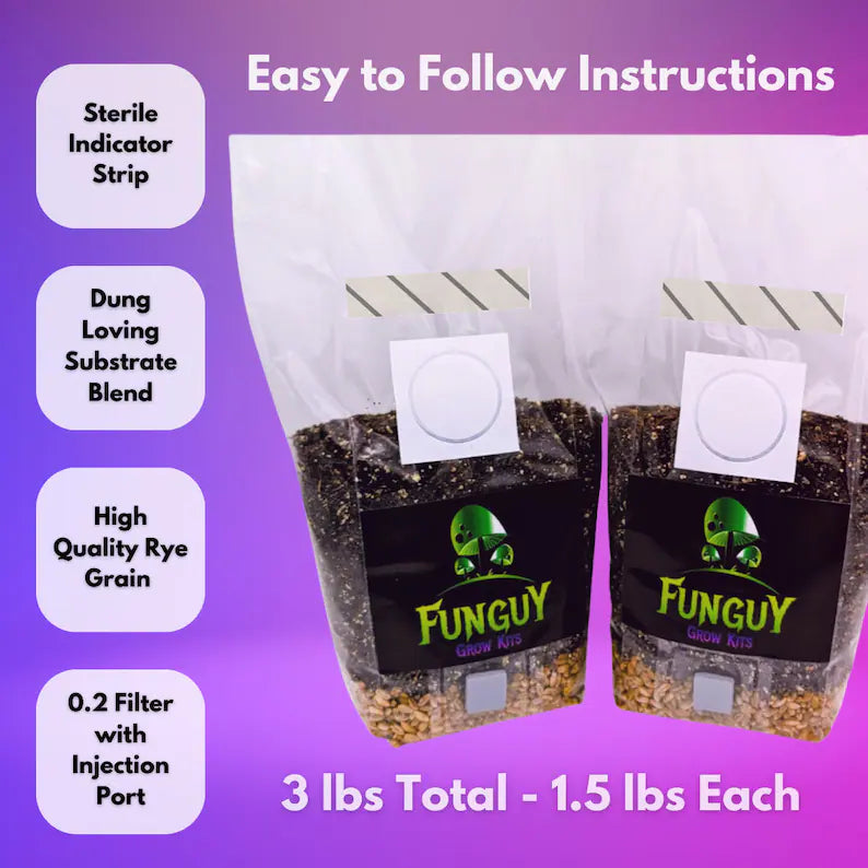 2 - All-in-One Mushroom Growing Kit Bag Grow Substrate & Rye Grain Like Magic