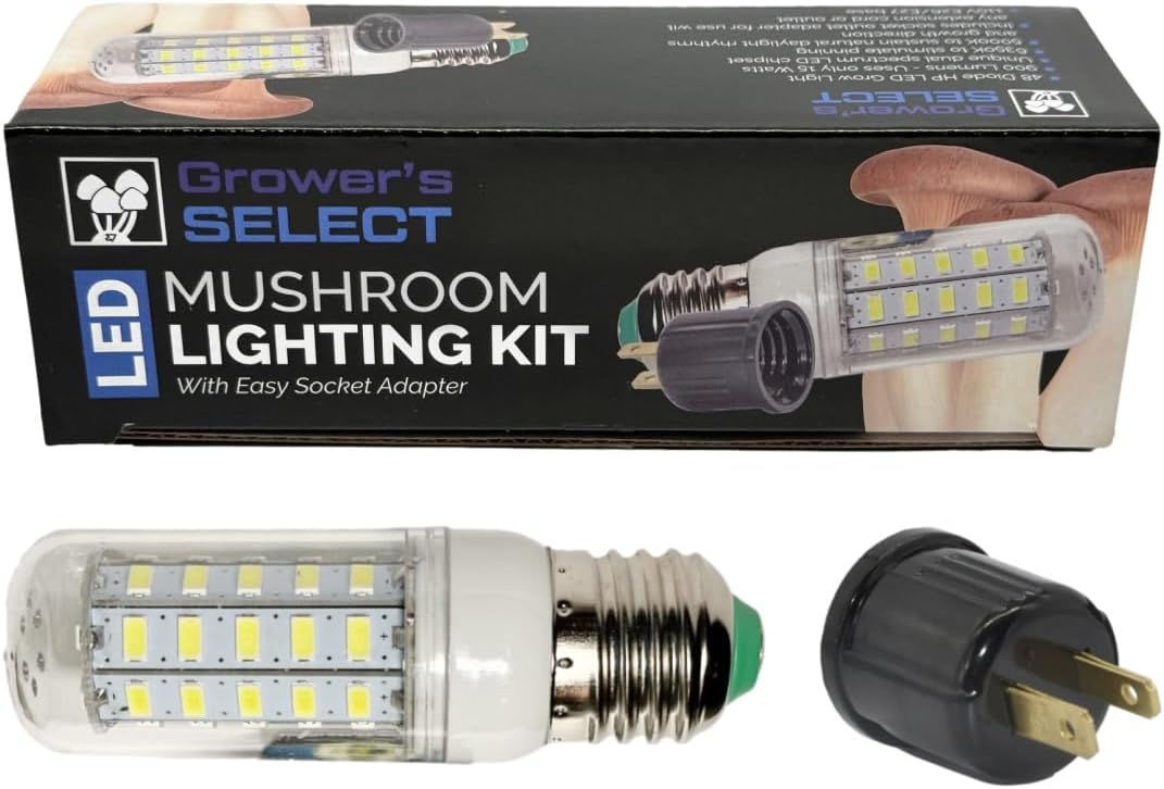 Mushroom Lighting Kit