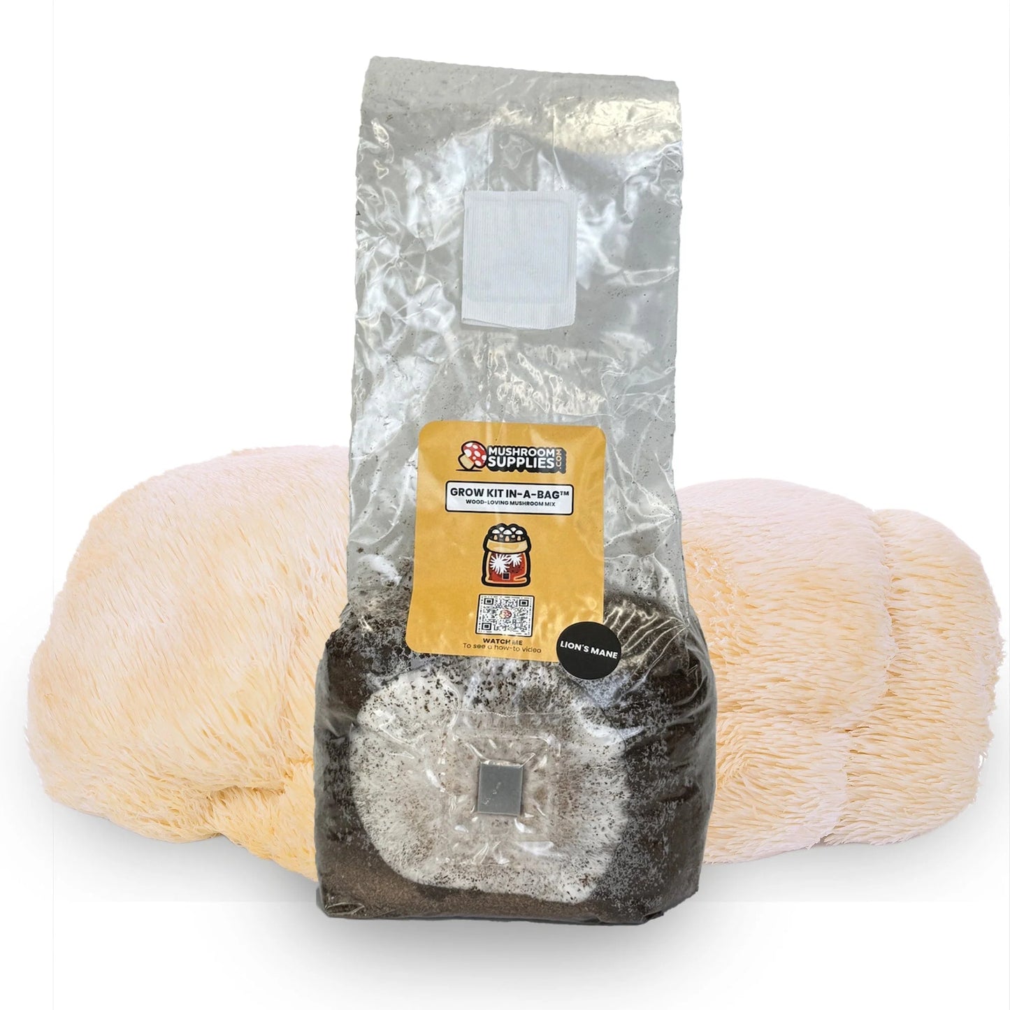 LIONS MANE MUSHROOM GROW KIT